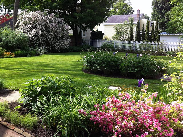 Backyard garden landscape