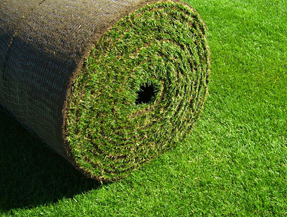 Big Sod Grass Roll