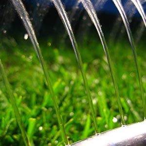 Sprinkler watering sod grass