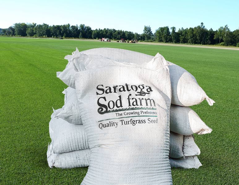 Seed and Fertilizer bags in field