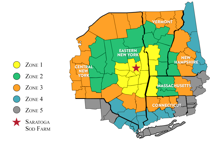 Map showing Saratoga Sod's areas served by county. Saratoga Sod serves central and eastern New York and counties within Vermont, New Hampshire, Massachusetts, and Connecticut. 