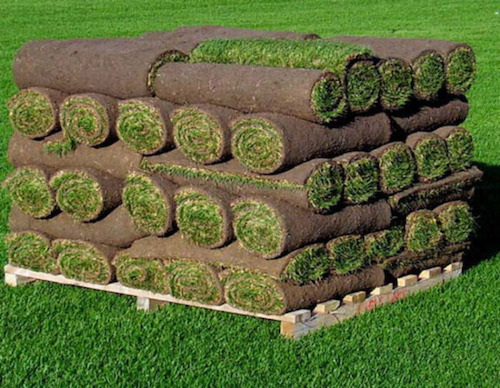 A pallet of small sod rolls ready for installation.